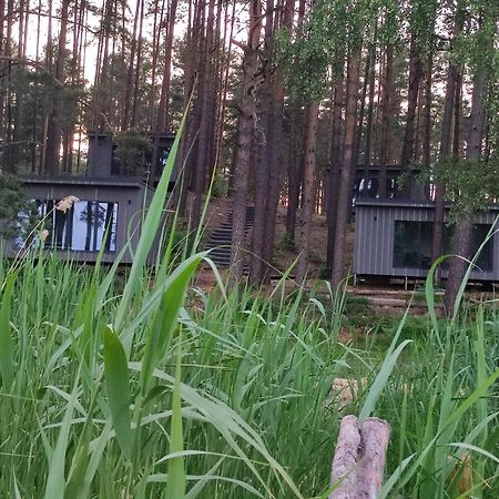 Gaujaclub - Our Bose And Bang&Olufsen Lofts On A Lake Gauja  Luaran gambar