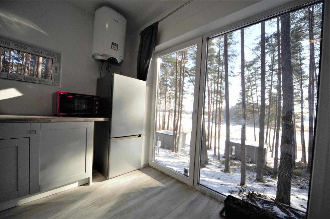 Gaujaclub - Our Bose And Bang&Olufsen Lofts On A Lake Gauja  Luaran gambar
