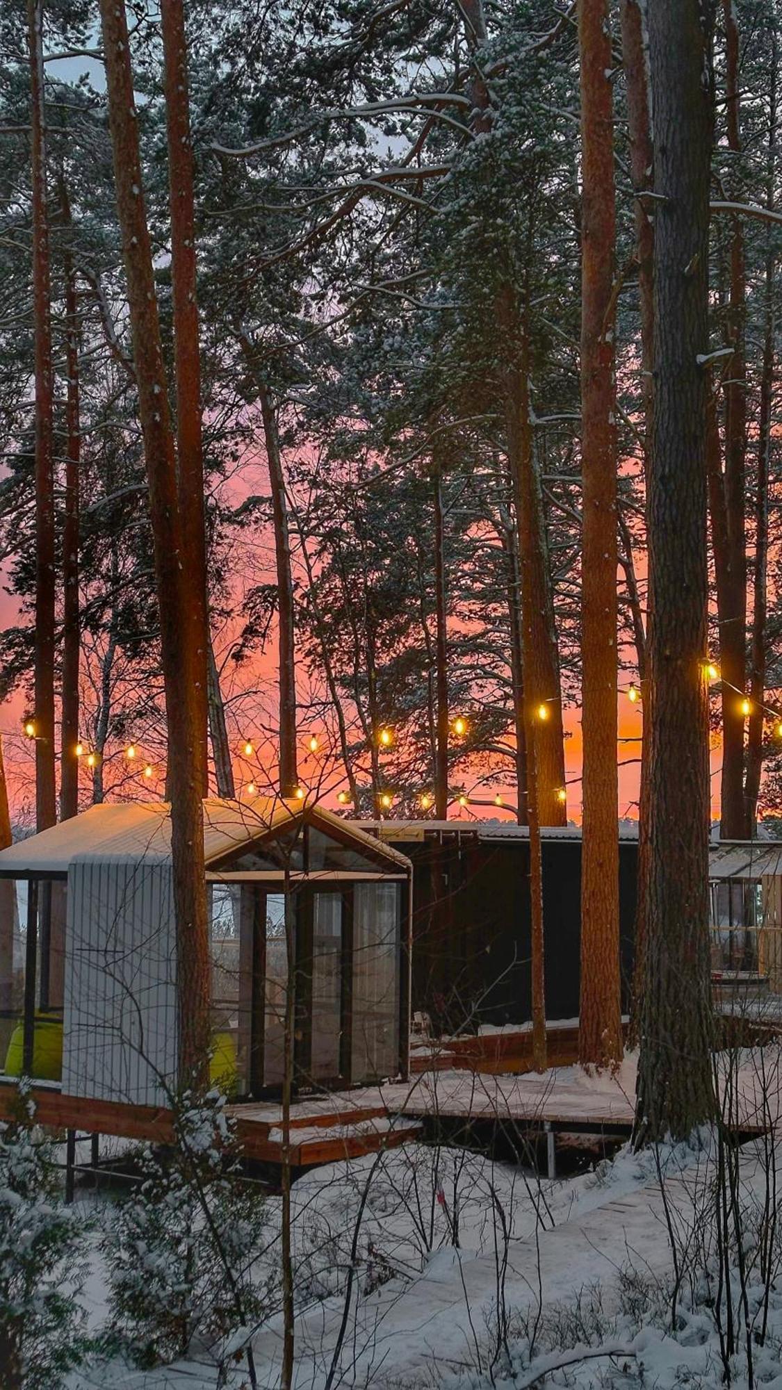 Gaujaclub - Our Bose And Bang&Olufsen Lofts On A Lake Gauja  Luaran gambar