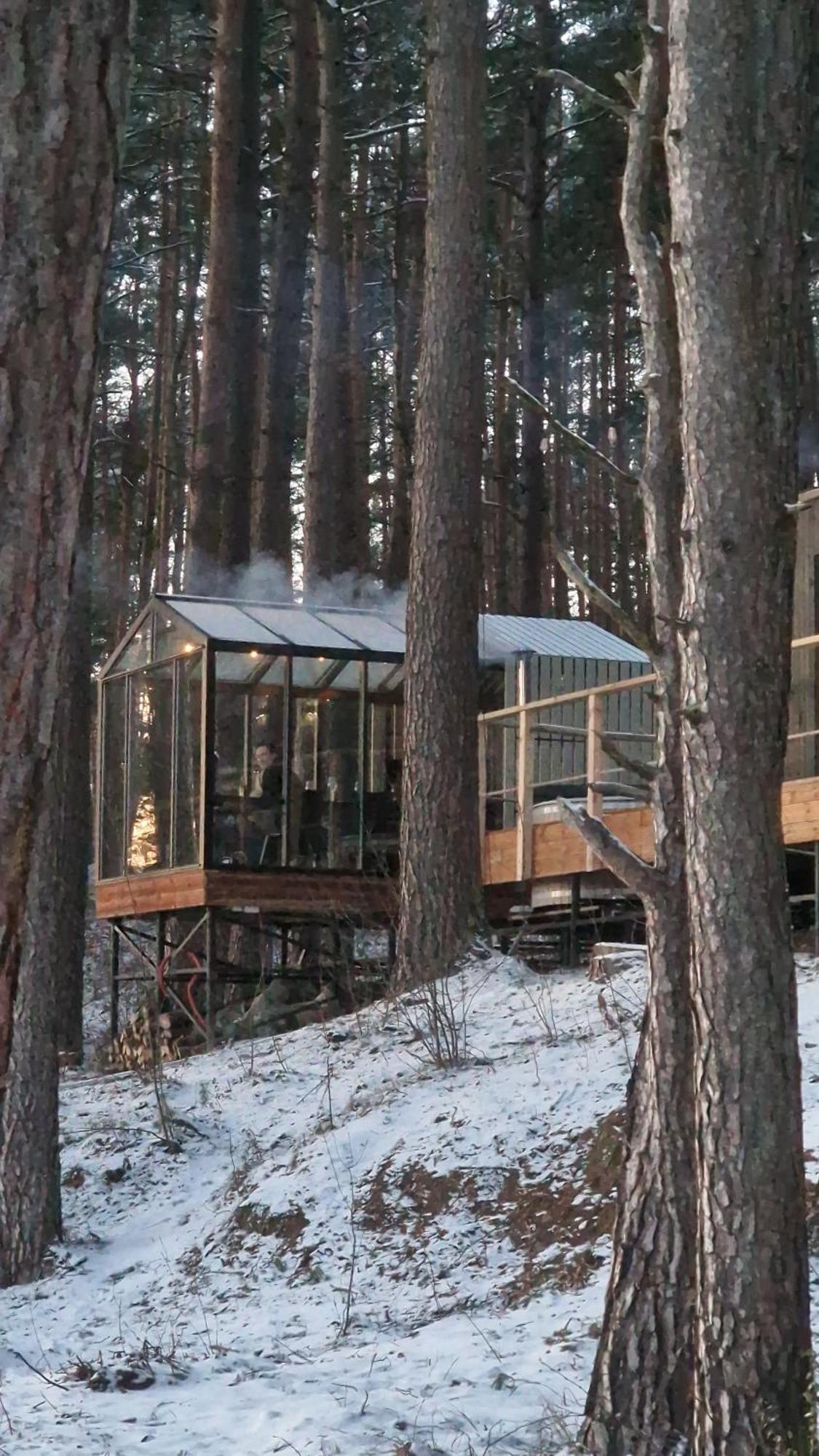 Gaujaclub - Our Bose And Bang&Olufsen Lofts On A Lake Gauja  Luaran gambar